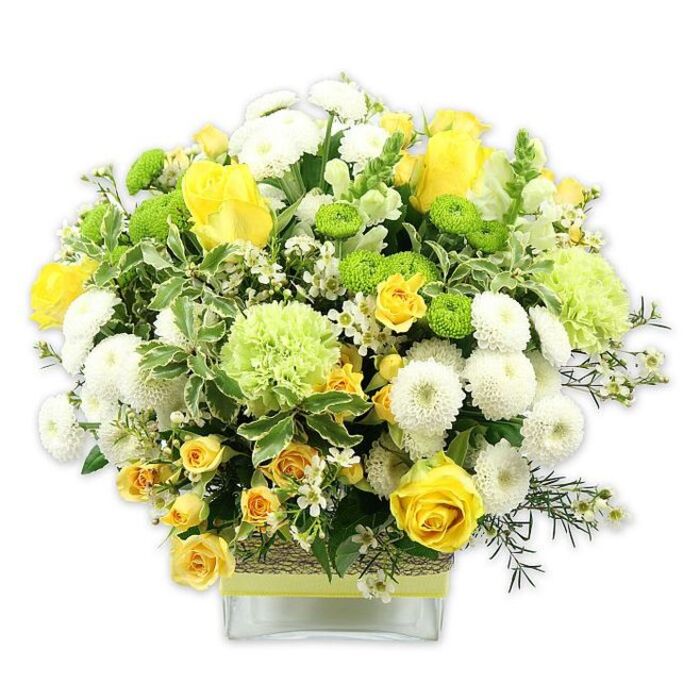 A lush, domed floral arrangement in sunny yellow, crisp white, and fresh green fills a low, clear glass vase, styled in a way that would sit beautifully on a dining table in an Epsom family home. The bouquet is composed with a florist's eye for balance and texture: prominent yellow roses are scattered evenly across the top, some fully opened into layered rosettes, others still in bud, giving a dynamic sense of unfolding bloom. Between them, clusters of smaller yellow spray roses add a fine-grained texture, their multiple petite flowers creating pockets of cheer. White pompom chrysanthemums provide contrast with their tightly packed, spherical heads, forming gentle mounds of petals that soften the bright yellows. Interwoven through the design are lime green button chrysanthemums, each compact, globe-shaped flower offering a vibrant, almost zesty note, while larger pale green, frilly blooms - akin to green carnations or decorative mums - add volume and a cool freshness, like early spring foliage in nearby Epsom Common. Rich greenery surrounds and supports the flowers: broad variegated leaves edged in creamy white sit at the base and sides, while more delicate, darker green sprigs thread upward, giving the bouquet a natural, garden-fresh silhouette. The rectangular glass vase is wrapped around its centre with a textured, woven band of natural fibre, suggesting raffia or bark, topped neatly by a pale yellow or lime-toned ribbon, which echoes the colour story without distracting from the blooms. The white background and even lighting highlight the careful craftsmanship and the harmonious shape. This arrangement feels joyful yet refined, perfect for celebrating milestones, brightening an office near Epsom station, or bringing a sense of warmth, vitality, and fresh-cut garden beauty into everyday life.